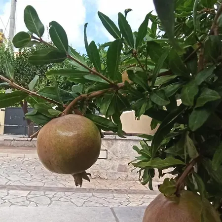 Villino Drm Gagliano del Capo